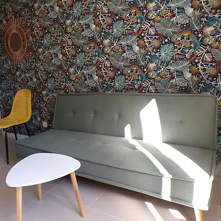 公寓 L'atypique 1 A 3 Voyageurs *